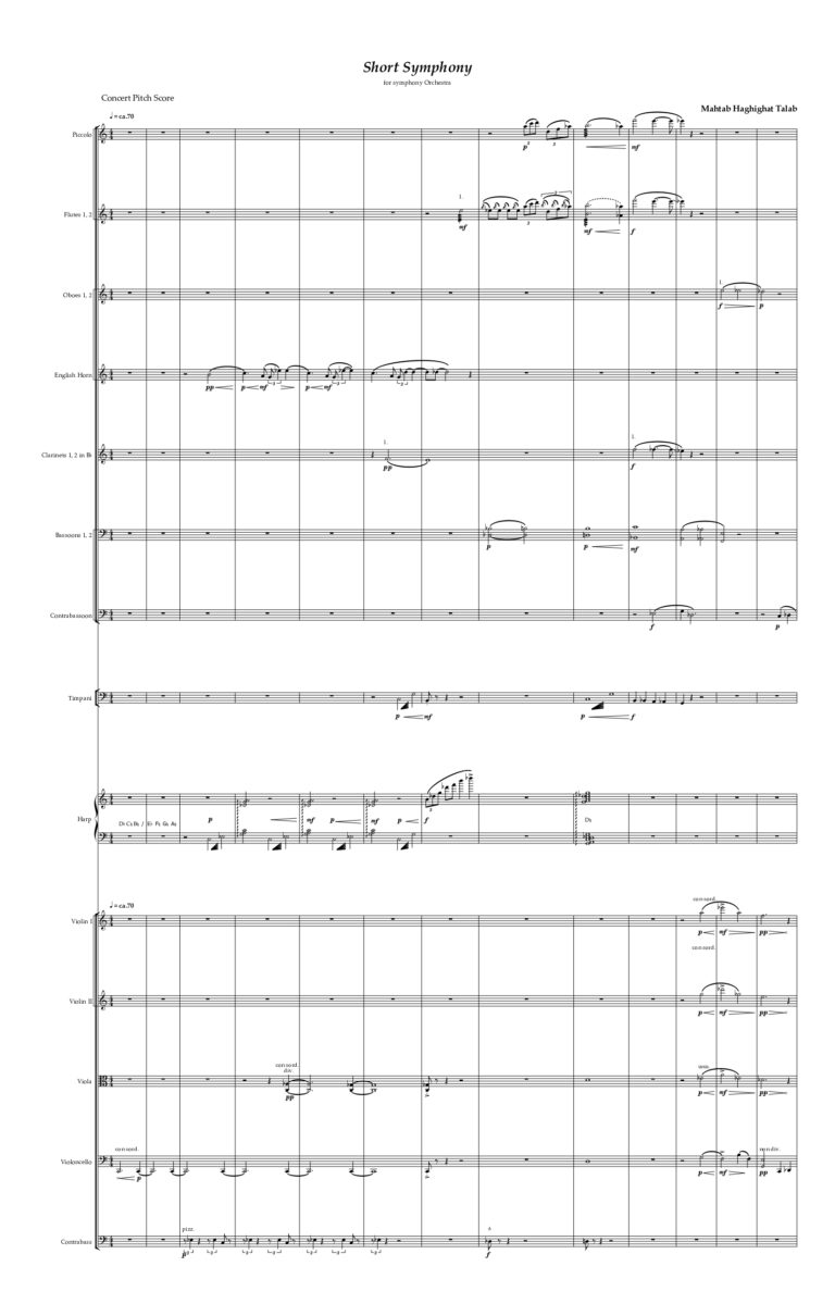 Mahtab Haghighattalab - Short Symphony - Sample