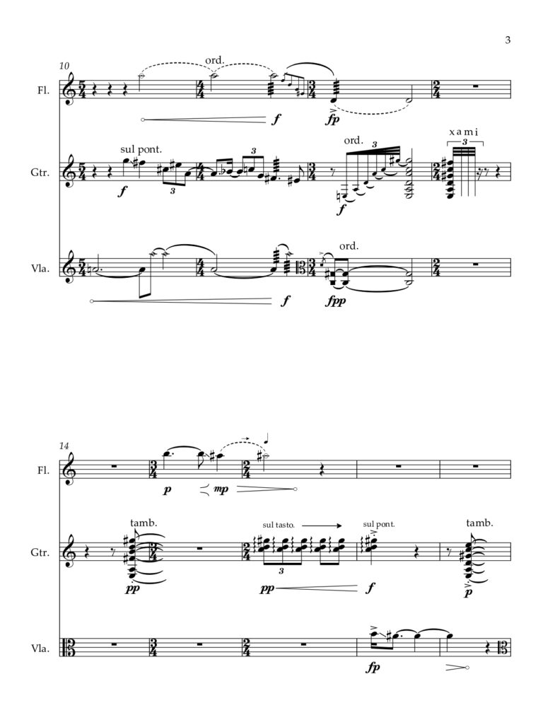 Haghighattalab_Mahtab_Sun Catcher_2023_Score_page-0005